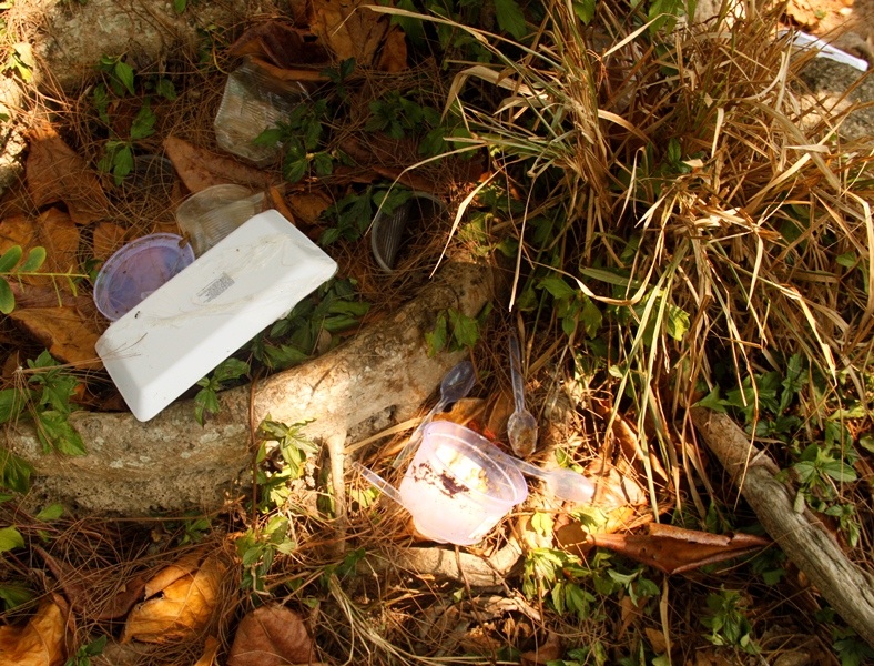 Du khách “ngao ngán” vì rác bủa vây khu du lịch đẹp nhất Quy Nhơn - 6