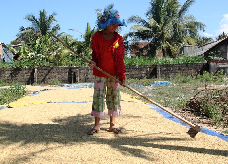 Ông bà ngoại đi làm đồng còn chị hai theo vào Quy Nhơn chăm sóc mẹ, Tuyết Nhân ở nhà lo cơm nước, phơi lúa.