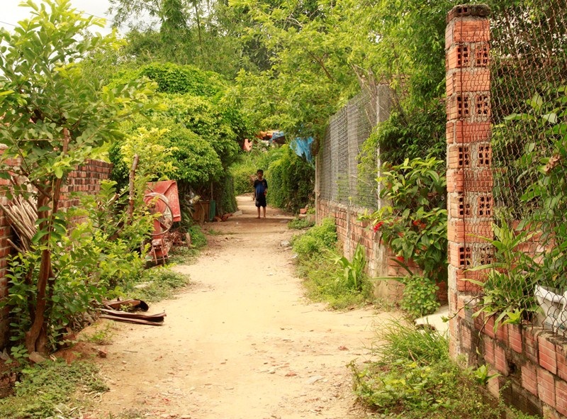 Bình Định: Người đô thị mòn mỏi đợi đường bê tông - 7