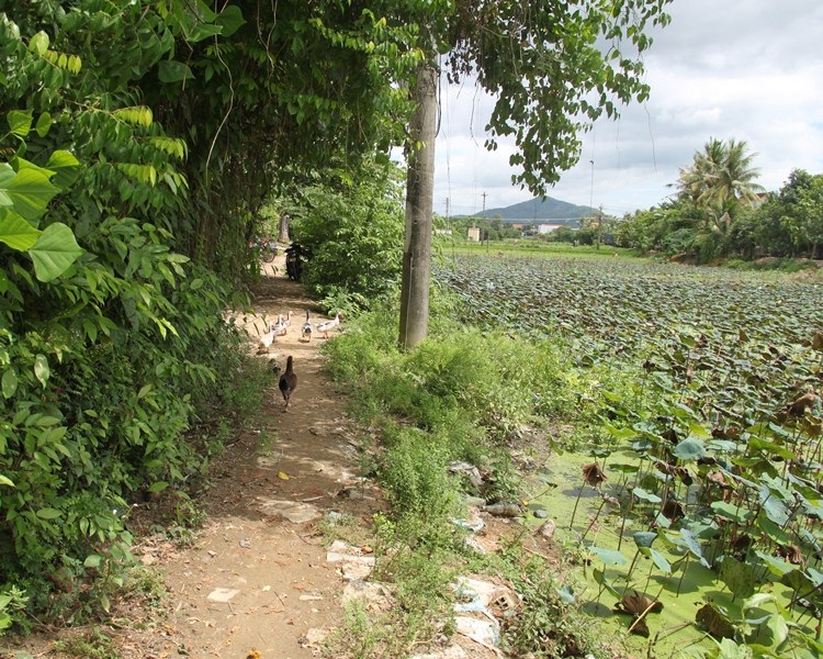 Nhiều đoạn đường chỉ rộng hơn 1 mét nên việc vận chuyển nông sản, vật liệu của người dân gặp khó