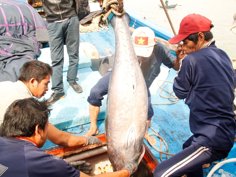 
Thực tế, hầu hết ngư dân khai thác thủy sản bằng kinh nghiệm, thiết bị hiện đại còn hạn chế
