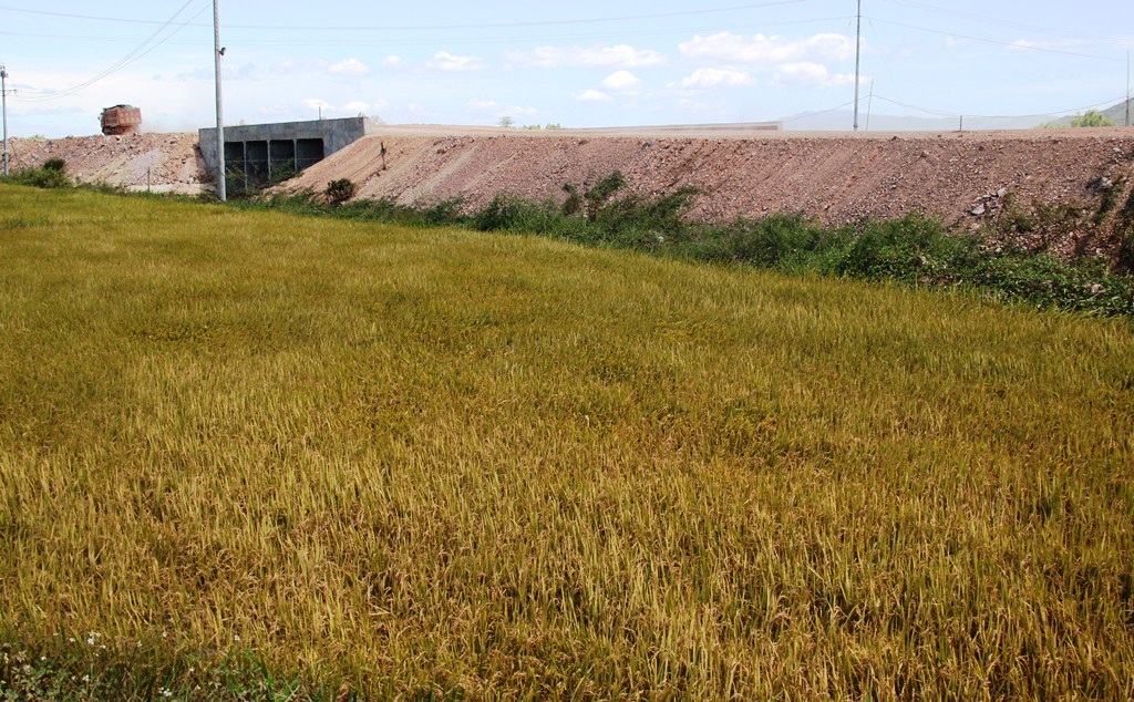 Người dân phản án việc thi công QL 19 còn gây bụi bẩn cám cây lúa đang thời kỳ trỗ bông sẽ ảnh hưởng đến năng suất