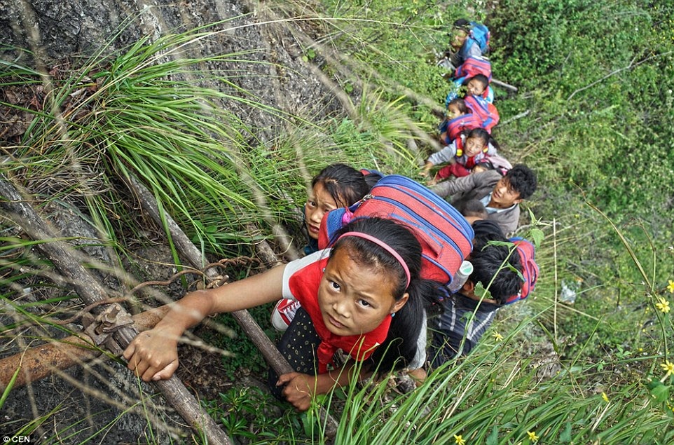 Hãi hùng cảnh học sinh Trung Quốc leo vách đá đi học - 2 Phương tiện giúp những học sinh này đến trường là những chiếc thang cũ kỹ (Ảnh: Chen Jie)