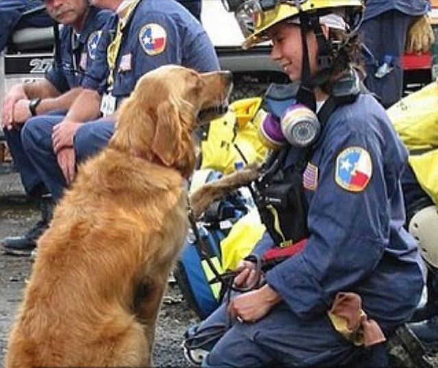 Bretagne là nguồn an ủi, động viên của những người lính cứu hỏa và nhân viên cứu hộ (Ảnh: RT)