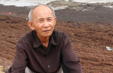 Rong biển dạt dày đặc vào bờ có phải do ô nhiễm? - 1
Ông Lê Nhẫn cho biết hiện tượng này với người dân nơi đây là chuyện năm nào cũng thấy.