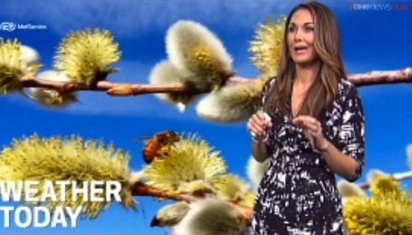 Biên tập viên thời tiết người New Zealand - cô Renee Wright đã phát âm thành công tên địa danh Taumatawhakatangihangakoauauotamateaturipukakapikimaungahoronukupokaiwhenuakitanatahu trên bản tin buổi sáng.