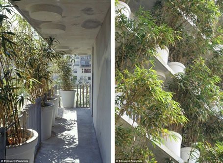 Chung cư xanh mướt màu tre, trúc gây sốt giữa lòng Paris - 4 Nhìn từ bên ngoài, những chậu cây này có thể khá chông chênh, nguy hiểm, nhưng thực tế các chậu cây đều được gắn chặt vào cấu trúc của ban công tòa nhà.