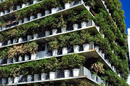 Chung cư xanh mướt màu tre, trúc gây sốt giữa lòng Paris - 8 Mục đích của công trình này là tạo cho những cư dân sinh sống ở đây cảm giác rằng họ đang được sống, được nghỉ ngơi trong một khu rừng.