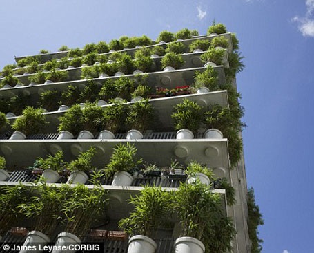 Chung cư xanh mướt màu tre, trúc gây sốt giữa lòng Paris - 11 Việc chăm sóc, tưới tắm cho những cây này được thực hiện tự động bằng một hệ thống sử dụng nước mưa tích trữ.