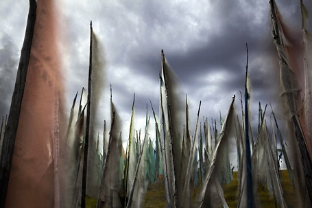 Hạng mục “Màu sắc Thế giới” - Giải nhất - Larry Louie (Canada).