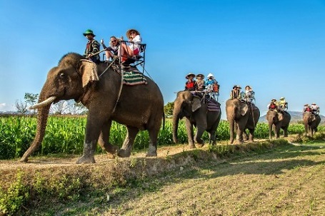 “Khám phá Việt Nam” qua những bức ảnh xuất sắc - 11 Cưỡi voi dạo chơi hồ Lắc của tác giả Nguyễn Huy Sơn (TP HCM)
