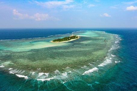 Và tác phẩm Hoa biển của tác giả Vũ Ngọc Hoàng (Khánh Hòa)