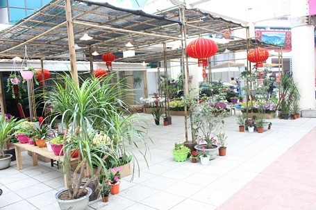 Thưởng thức văn hóa, đặc sản Tây Bắc giữa lòng thủ đô - 2