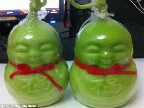 Báo phương Tây kinh ngạc trước những “trái lê may mắn” cho mùa Tết - 1 Daily Mail vừa đưa tin bài về việc những trái lê được tạo hình Đức Phật đang trở thành món hàng gây sốt trên thị trường hàng Tết ở Việt Nam.