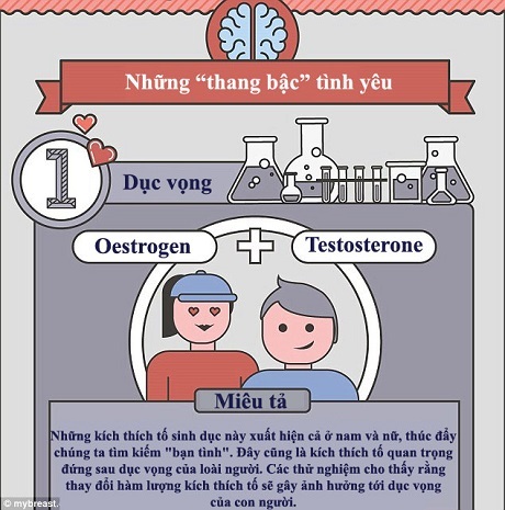 Chúng ta yêu nhau… như thế nào? - 1 Nếu bạn bỗng thấy mình căng thẳng lạ thường mỗi khi đứng trước người ấy, lỗi là tại hoóc-môn dopamine. Khi cơ thể có nhiều dopamine, đó là khi bạn bắt đầu cảm nhận thấy những khao khát bên trong mình lớn dần.