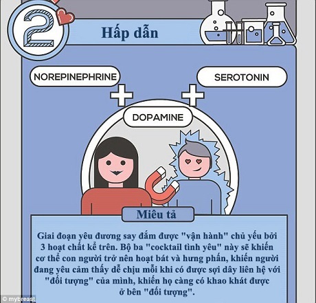 Chúng ta yêu nhau… như thế nào? - 2 Giai đoạn bị đối phương lôi cuốn mạnh mẽ, bạn sẽ nhận thấy mình có một vài đổi khác dễ nhận thấy, chẳng hạn khi “đối tượng” xuất hiện, đồng tử của bạn sẽ giãn ra, nhịp thở và nhịp tim sẽ tăng lên, bạn cảm thấy hồi hộp và có thể còn vã mồ hôi. Những “triệu chứng” này càng rõ rệt càng chứng tỏ bạn đã bị “cảm quá nặng”.