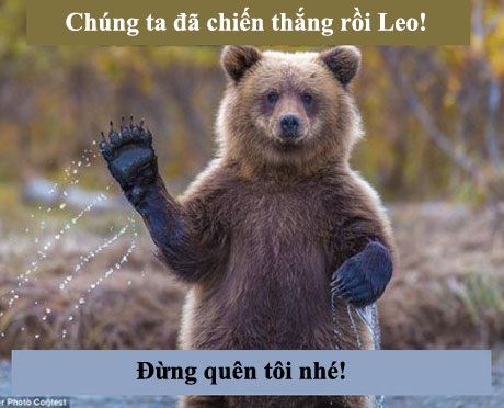 Mạng xã hội “vỡ òa” vì chiến thắng của Leonardo DiCaprio - 16 Mạng xã hội “vỡ òa” vì chiến thắng của Leonardo DiCaprio - 16