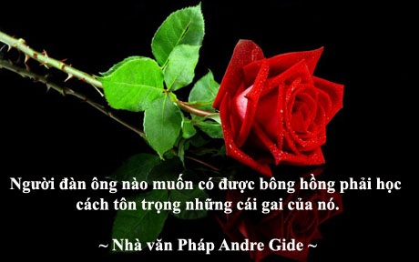 Những câu nói hay nhất cho ngày Quốc tế Phụ nữ - 22
