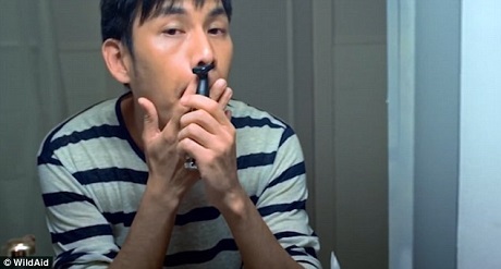 Sự “tiến hóa” hài hước và rùng rợn để thích nghi với… ô nhiễm - 9 Một người đàn ông quyết định không chấp nhận sự “tiến hóa” dị hợm và đã dọn sạch lông mũi.