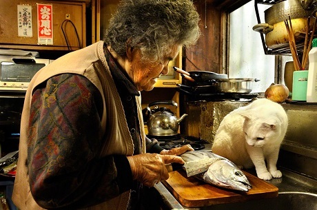 “Chú mèo nổi tiếng nhất nước Nhật” đã qua đời - 20 “Chú mèo nổi tiếng nhất nước Nhật” đã qua đời - 20