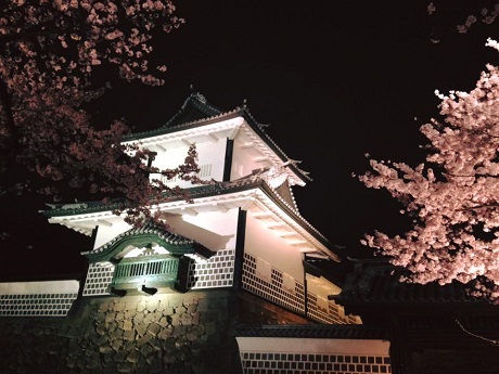 Mùa hoa sakura nở - 5 Mùa hoa sakura nở - 5