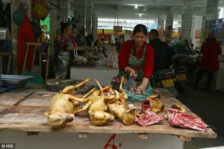 Nghệ sĩ quốc tế lên tiếng đòi chấm dứt lễ hội ăn thịt chó ở Trung Quốc - 8 Một cửa hàng bán thịt chó trong chợ ở Ngọc Lâm, Quảng Tây, Trung Quốc. Thực tế, thịt chó được bán quanh năm ở đây, nhưng vào mùa lễ hội, mức tiêu thụ tăng đột biến.