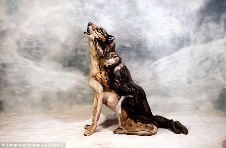 Tầm quan trọng của… “màu xấu nhất thế giới” - 1 Một họa sĩ vẽ bodypainting người Ý có tên Johannes Stoetter mới đây đã gây sửng sốt với tác phẩm mới nhất của anh - biến ba người mẫu trở thành một chú chó sói sinh động. Thoạt nhìn, bạn có thể tưởng rằng đây là một bức tranh sơn dầu, nhưng nếu nhìn kỹ bạn sẽ thấy có ba người mẫu đang đan xen vào tư thế của nhau.