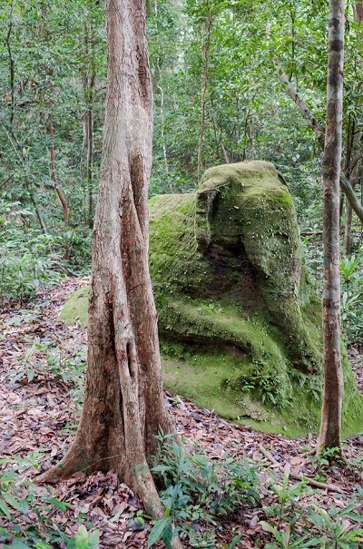 Có những di chỉ khảo cổ đang nằm dưới những thảm rừng nhiệt đới ở Campuchia.