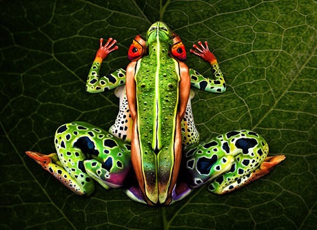 “Đã mắt” với body-painting giải nhiệt ngày hè - 7 Năm 2015, Johannes từng sử dụng 5 người mẫu để tạo thành một chú ếch xanh nhiệt đới.