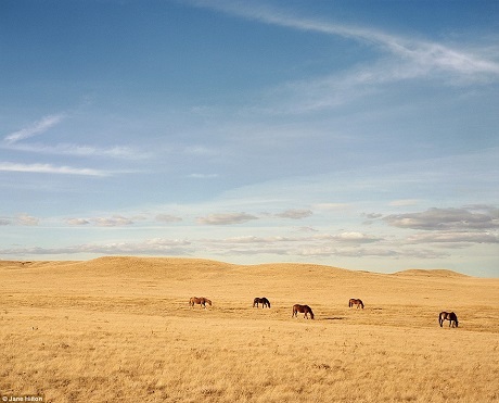 Cảnh vật ngoạn mục đặc trưng của đời sống miền Tây nước Mỹ. Trong ảnh là vùng núi Medicine Bow, bang Colorado.