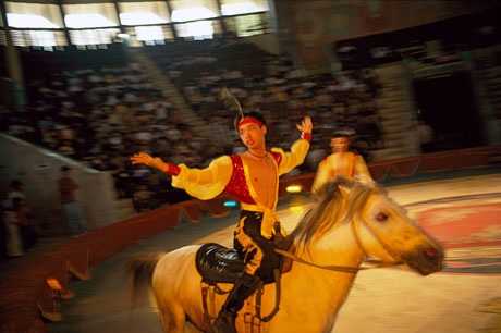 Một buổi biểu diễn xiếc.