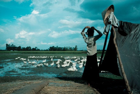 Một miền quê Việt Nam, 1989.