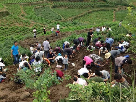 Dân làng phát hoảng vì “dân tứ xứ” đổ xô đến đào… đá quý - 1 Hàng ngàn người háo hức mang cuốc xẻng đến làng Hậu Trang đào đất ngày đêm. Giờ đây, bất cứ chỗ nào chưa được trải bê tông, hễ cứ… hở đất ra là thấy có người đang mải miết đào.
