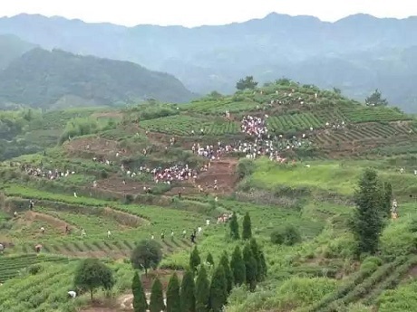 Dân làng phát hoảng vì “dân tứ xứ” đổ xô đến đào… đá quý - 3 Dân làng cho biết sự xuất hiện của quá nhiều người lạ trong làng khiến cuộc sống vốn dĩ thanh bình của họ bị đảo lộn.