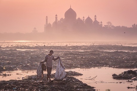 Một người đàn ông đang đi nhặt rác lúc bình minh. Ở hậu cảnh là ngôi đền Taj Mahal nổi tiếng ở thành phố Agra, Ấn Độ.