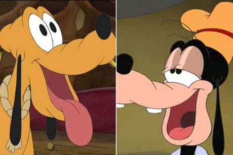 Tại sao chú chó Pluto là cún cưng của chuột Mickey, còn chú chó Goofy lại là… bạn của Mickey? Đây rõ là một sự “bất bình đẳng” khá hài hước giữa hai chú chó. Hãy thử hình dung tình huống Goofy gặp Pluto… Sẽ thật khó xử cho tất cả các bên.