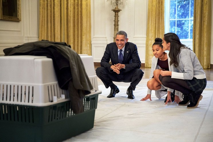 Bài báo gây sốt của ông Obama trên tạp chí phụ nữ - 2 Ông Obama và hai cô con gái cùng “gặp” chú gà tây mà họ sắp làm phước trước nghi lễ Tạ ơn diễn ra thường niên tại Nhà Trắng.