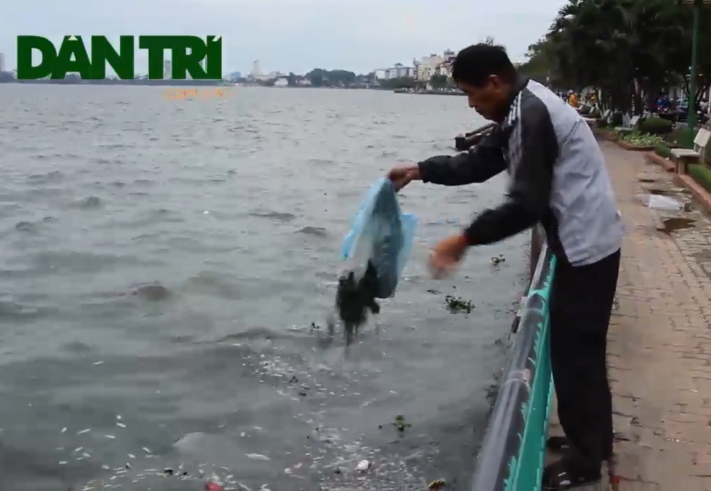 Mặc dù cá đã chết nổi trên mặt nước, nhưng nhiều người vẫn thản nhiên xả rác xuống Hồ Tây như thế này