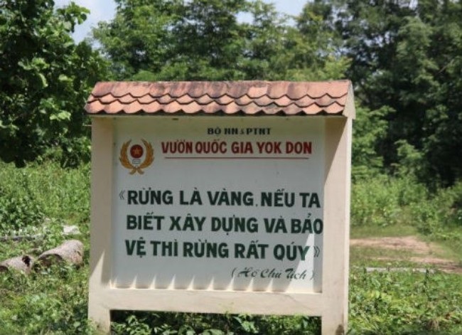 Đề nghị dừng chuyển đổi rừng để xây dựng thủy điện Đrăng Phốk - 1 Nếu thủy điện Đrăng Phốk triển khai, Rừng Quốc gia Yok Đôn bị ảnh hưởng sinh thái nặng nề (ảnh: VTV)