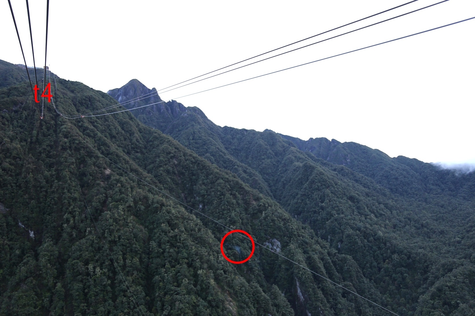 Vị trí phát hiện thi thể du khách người Anh (vị trí khoanh tròn đỏ)