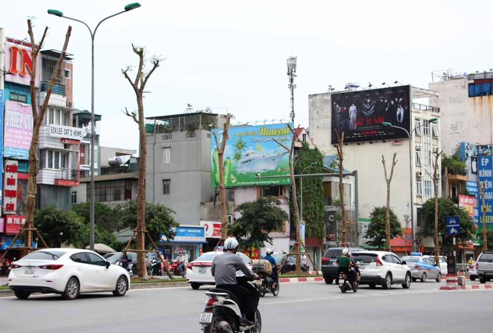 Hà Nội sắp có thêm nhiều tuyến phố hoa phượng đỏ - 4 Phố Tây Sơn