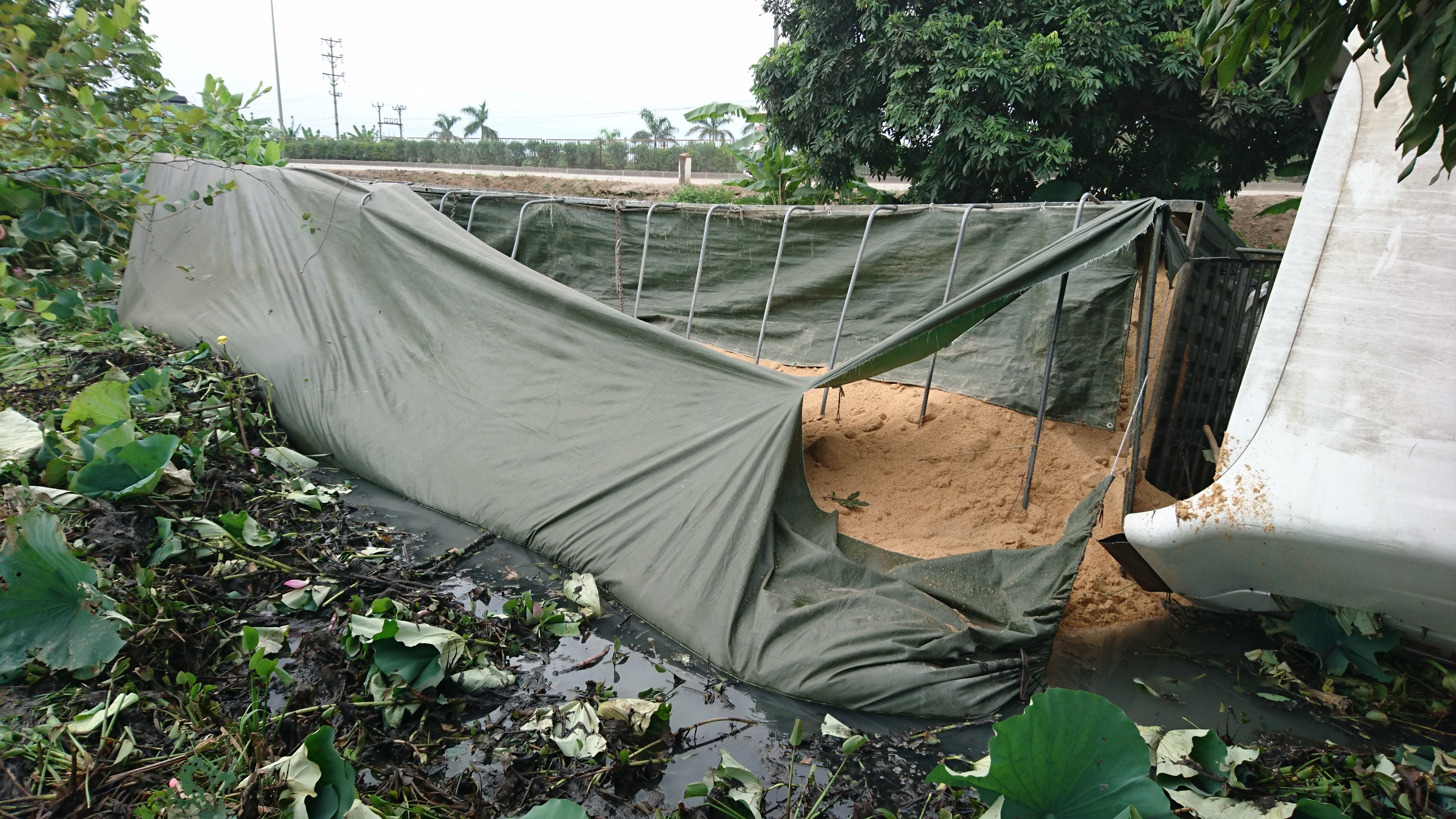 Trên thùng xe chở rất nhiều cám gia súc.