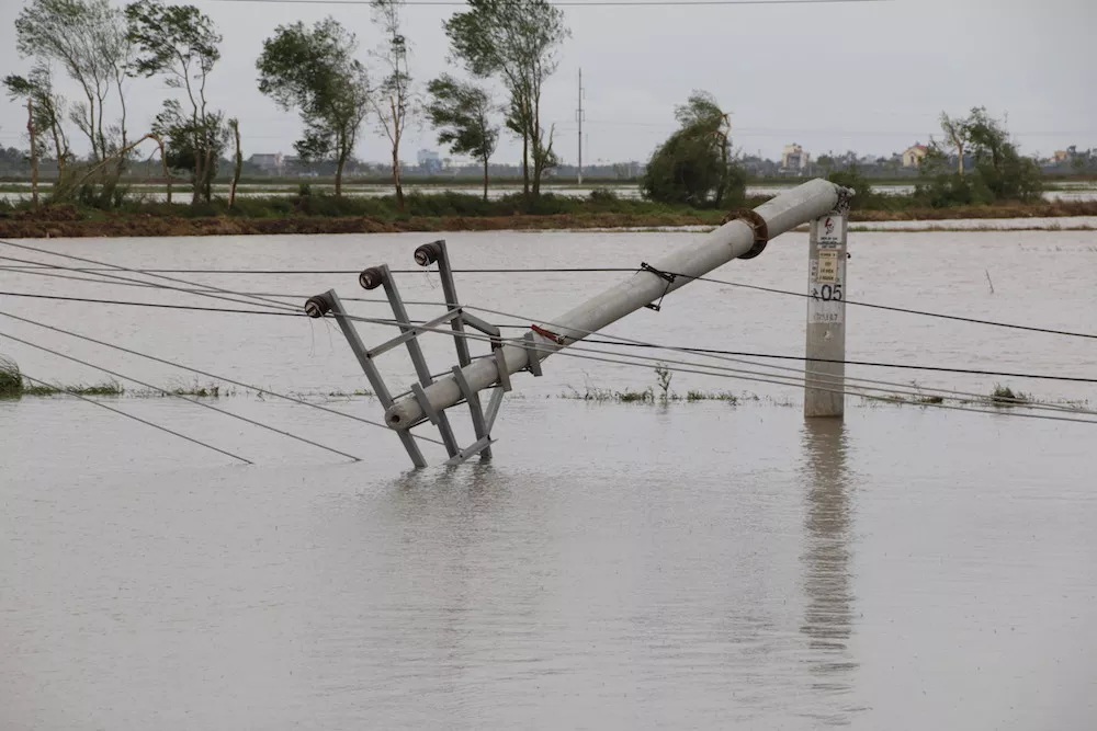 Bão số 1 đã làm hơn 17 nghìn cây cột điện bị gẫy đổ (Ảnh: Trọng Trinh).