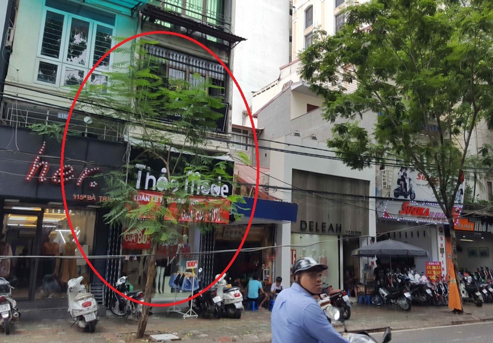 Hàng trăm cây xanh đổ ở Hà Nội do chăm sóc chưa đúng kỹ thuật? - 2 Cây khi lớn sẽ có nguy cơ lệch tán do chưa được quan tâm cắt tỉa từ nhỏ (Cây trên đường Bà Triệu - Hà Nội) - Ảnh do Tiến sĩ Hà cung cấp.