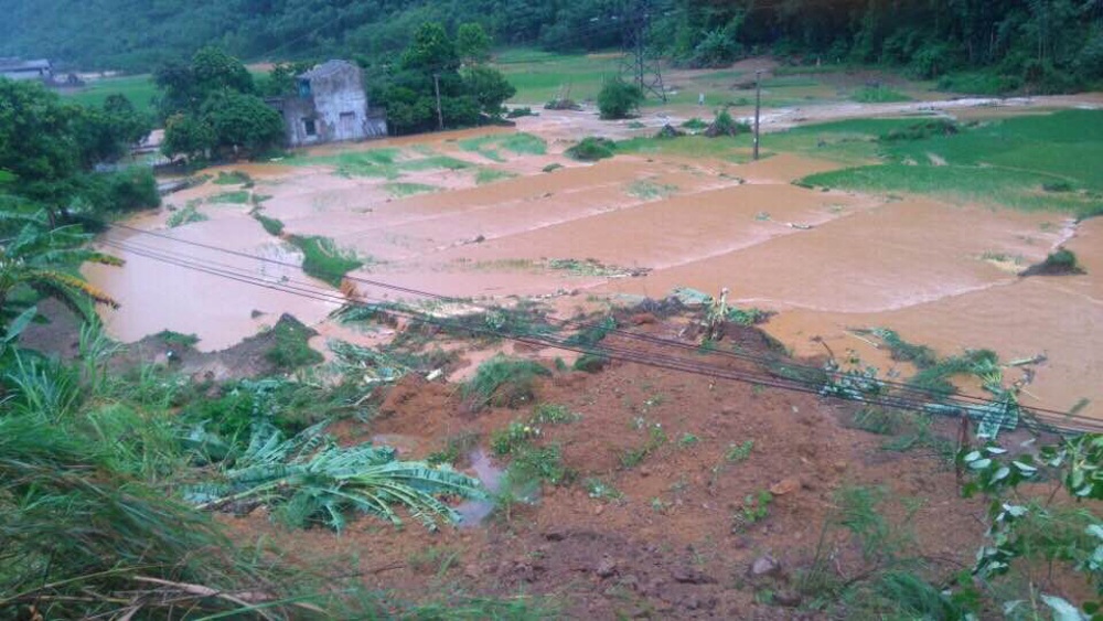 Đất, đá sạt lở đổ tràn cả xuống ruộng lúa của người dân.