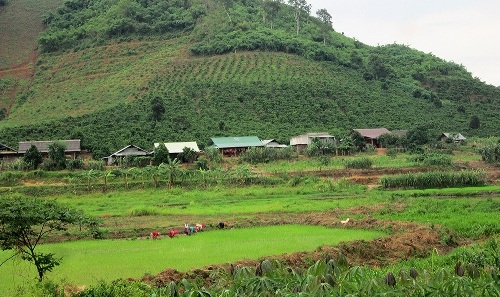 thua-thot-dan-sinh-song-984a0