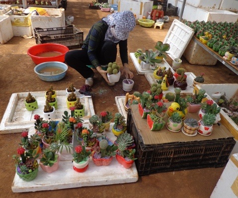 cong-nhan-cham-chut-tung-vuon-uom-0b4fc