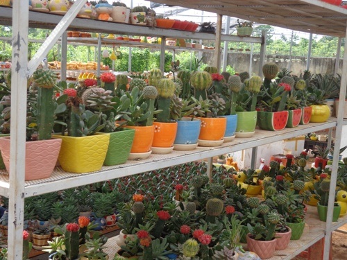 hang-tram-loai-2-a5db2