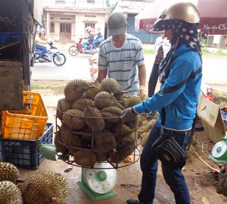 sau-rieng-dat-hang-86631