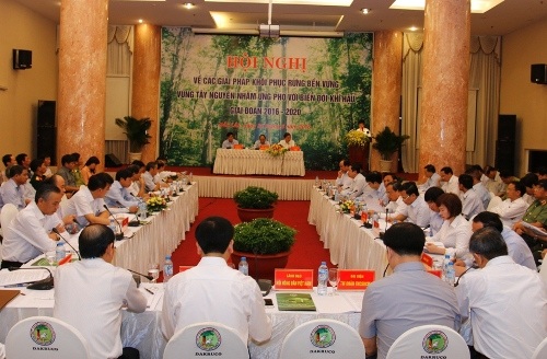 Thủ tướng chỉ đạo khôi phục rừng bền vững vùng Tây Nguyên - 1 Quang cảnh Hội nghị